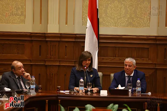 د. بهاء حلمي يكتب: وزارة الهجرة .. بين التحديات والانجازات