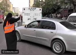 د. بهاء حلمي يكتب:تنظيم مهنة السايس مشكلة تبحث عن حل