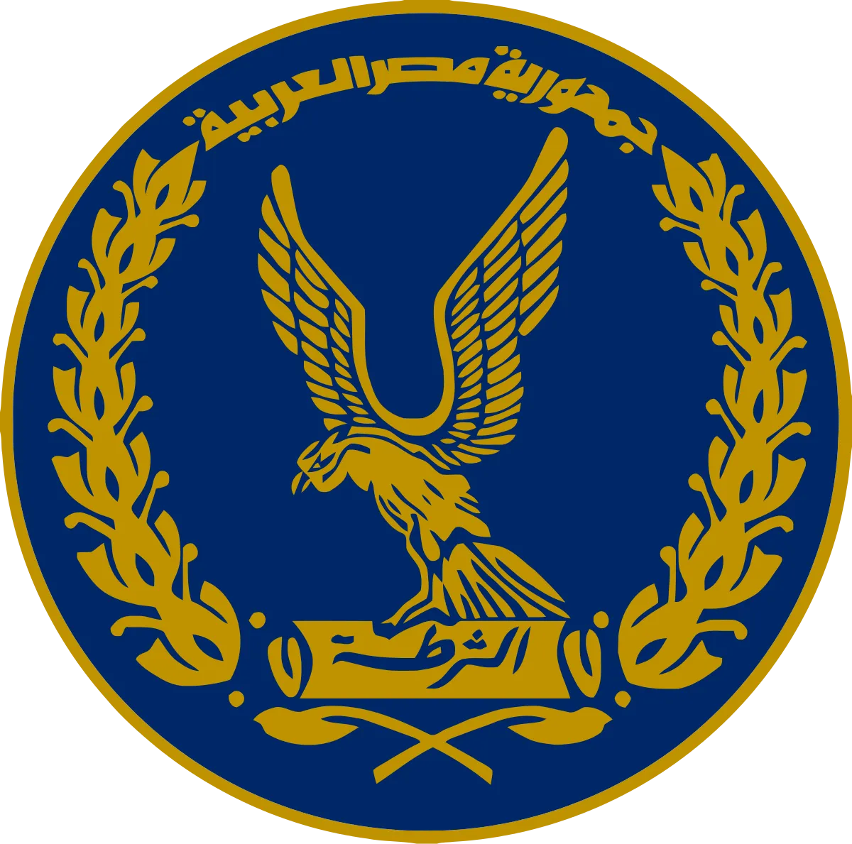د. بهاء حلمي يكتب:  الامن الجنائي وانضباط الشارع المصري          