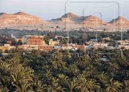 د. بهاء حلمي يكتب: المنازل الأسمنتية تهدد سحر الطبيعة فى واحة سيوة
