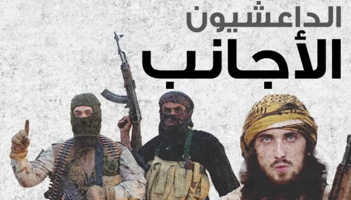 د بهاء حلمي يكتب:هل الإرهابيين الاجانب ..مقاتلون؟
