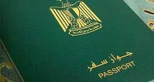 د. بهاء حلمي يكتب: الحرمان من الجنسية والمعايير الدولية